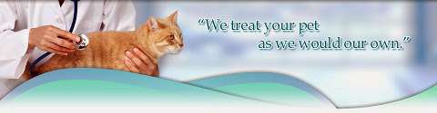 Jobs in Dog & Cat Surgery and Wellness Clinic - reviews
